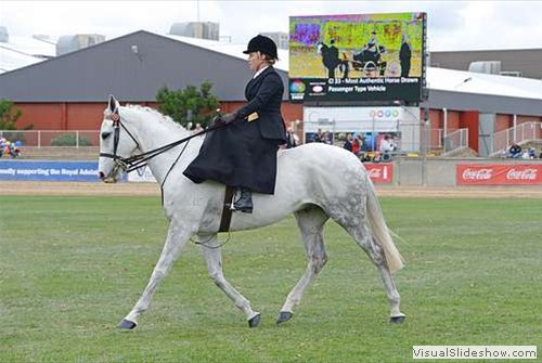 Lady Rider Side Saddle 1st place Samantha Taylor