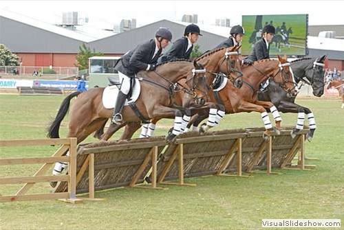 Section 4s   2nd place South East Riding Club