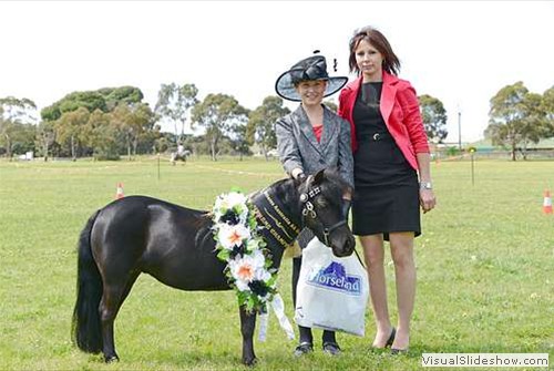 Judge Paula Egel with Supreme Champion Miniature Horse Almost Queen of The Mountain exhibited by M Francis & D Lind