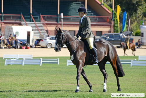 Kerry Micke riding Boongala Flashman went on to win Champion Mitavite SA newcomer Show Hunter Hack over 15hh.
