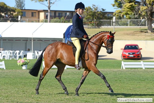 Margot Haynes riding Kolbeach Starlight during the Jurox SA Newcomer Large Pony over 12.2hh ne 14hh class  went on to be awarded Champion