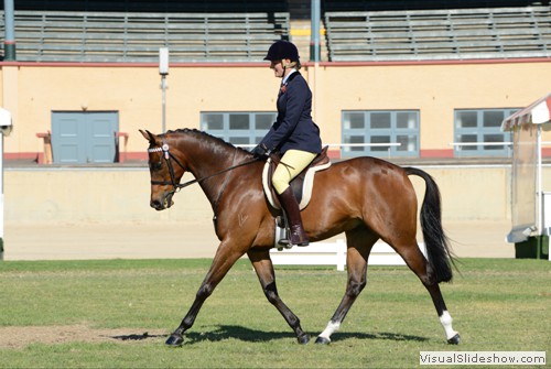 Sarah Bellman riding Vision Park Heaven during the Seed Distributors SA Newcomer Galloway over 14hh & ne 15hh class