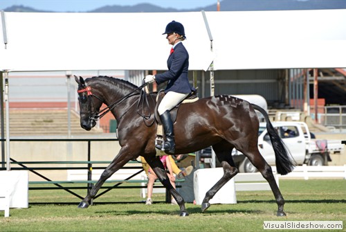 Samantha Kennedy riding Exotic during the Chris Leech Equestrian SA Large Show Horse of The Year over 16hh  went on to place third.