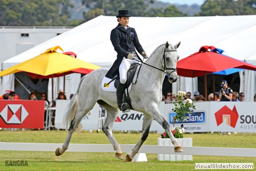 Shane Rose riding CP Qualified in CCI**** dressage