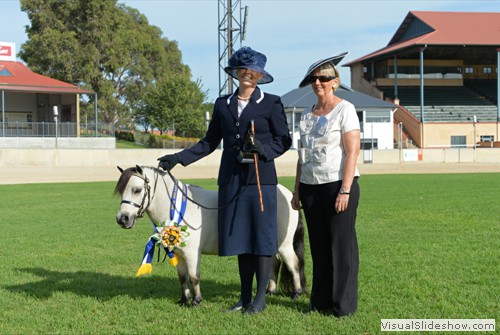Supreme Champion Led Miniature Pony Exhibit Willow Springs Moon Dust exhibited by V&M Mantel