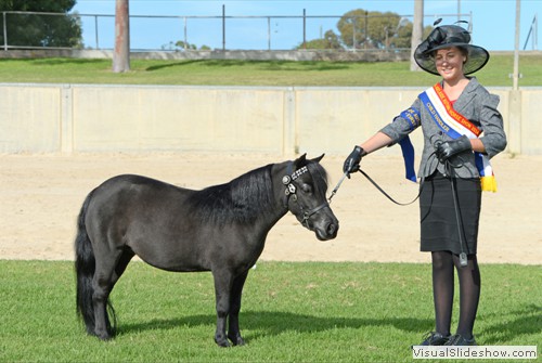 Champion Child Handler A Neville with Midgetwood Matilda exhibited by A&C Neville