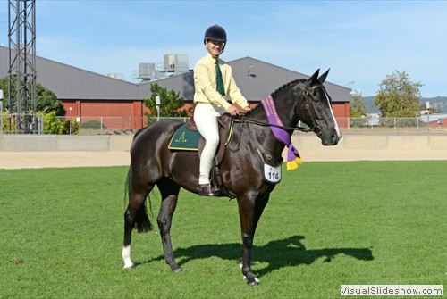 Reserve Champion Ridden Australian Stock Horse Boongala Flashman exhibited by LF, LM & KM Micke
