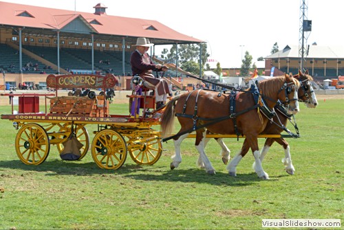 Reserve Champion Multiple Turnout  Mike Keogh driving Coopers Jesse & Coopers Belle exhibited by Coopers Brewery Clydesdale Team