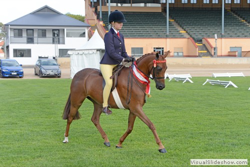 J Marnie on Reserve Champion SA Newcomer Large Pony over 12.2hh ne 14hh Argyl Royal Moment