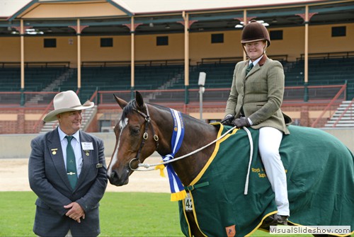 Supreme Champion Ridden Australian Stockhorse Kardinia Jackman exhibited by Carrigan-Walsh Family
