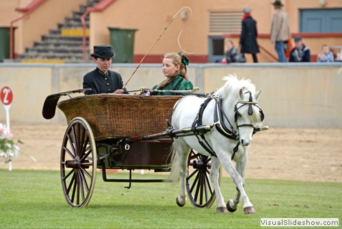 Class 39 Most Authentic Horse Drawn Passenger Type Vehicle for horses, galloways and ponies  entry 256 D & E & R Lawrence, Carlyle Shakespeare g.g  driver Elizabeth Lawrence, passenger Ruby Lawrence