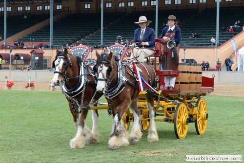 Champion Multiple Tradesman/Delivery Turnout entries 317 Coopers Brewery Clydesdale Team, Coopers Henry, b.g & 325 Coopers Brewery Clydesdale Team, Coopers Annie, b.m  driver Lynette Fritsch.