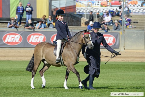 "THE ALLINGTONS OUTPOST TROPHY<br/>Girl or Boy Rider 5 & under 8 years, on the lead"