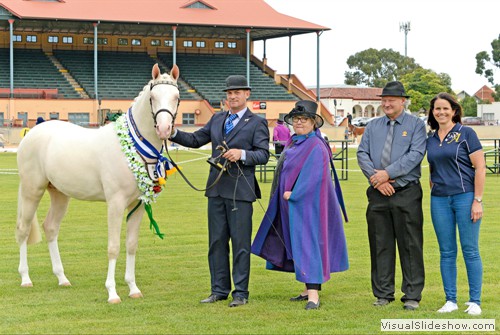 Judge Ms. Kym Robinson (VIC) with Supreme Champion Led Dilute Sierra Lodge The Apparition exhibited by Jodie Luck