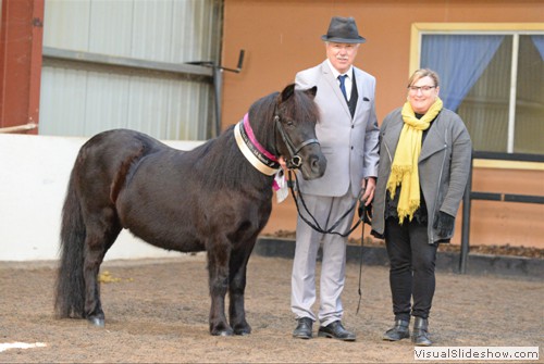 Judge Roxanne Sicilliano with Grand Champion Native Pony 2yo Shanamon Rubinali exhibited by Koch Family