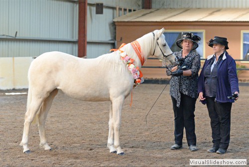 Judge Jenny Cook with Best Yearling of Show Carolinga Royal Inferno exhibited by C Francis