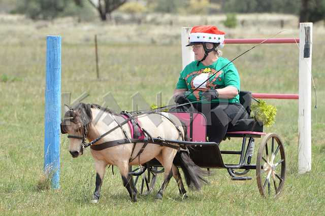 K210_1323.JPG - Photo by KANGRA