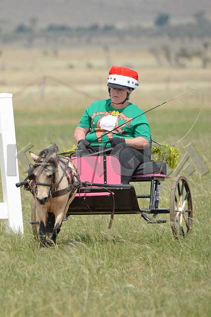 K210_1346.JPG - Photo by KANGRA