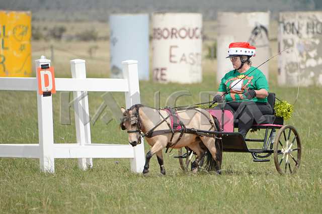 K210_1359.JPG - Photo by KANGRA