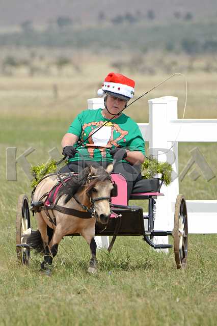 K210_1366.JPG - Photo by KANGRA