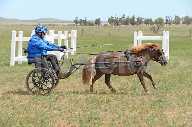 K210_1036.JPG - Photo by KANGRA